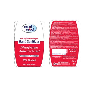 250ml sanitizer Disinfectant - Disinfectant Hand Sanitizer 250ml page 0001